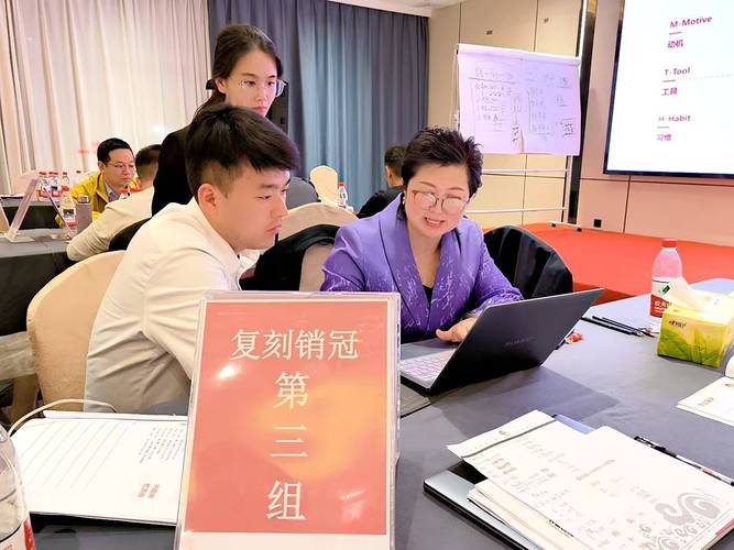首先我们先来看行业现状,目前国内企业管理咨询行业发展参差不齐,纯